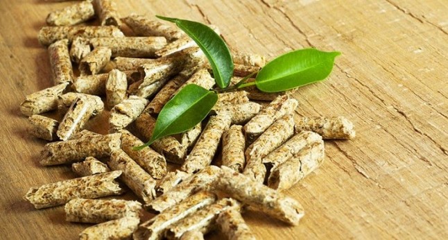 El Banco Europeo aporta 50 millones de euros para poner en marcha una planta de biomasa en Curtis y Teixeiro (A Coruña)