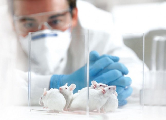 The Body Shop y Cruelty Free International llevan a la ONU 8