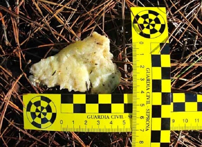 Los cuerpos de seguridad se forman en Granada en la lucha contra el uso ilegal de cebos envenenados