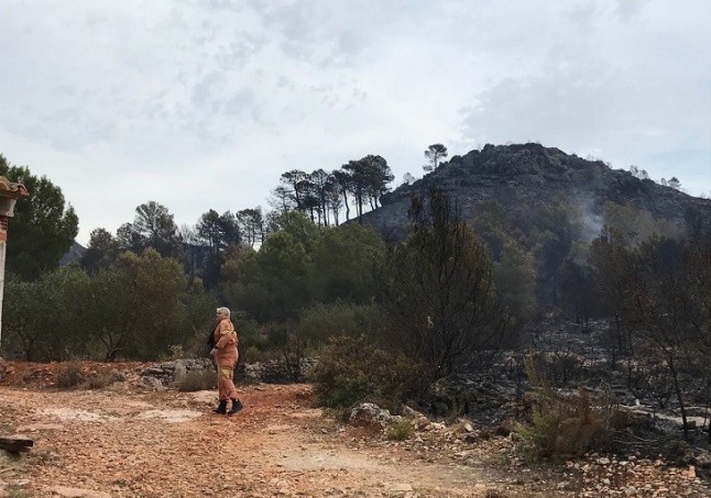 Medio Ambiente analiza las características de la zona del incendio de Llutxent y propone medidas para recuperarla