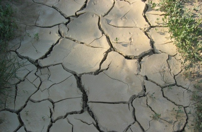 La ley de cambio climático que merece España