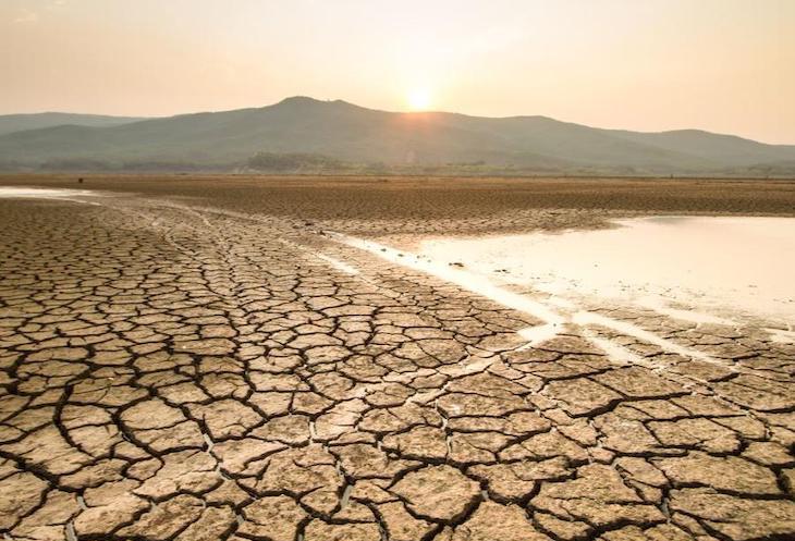 Formulan un innovador plan para hacer frente los efectos de la ‘crisis climática’ en la salud