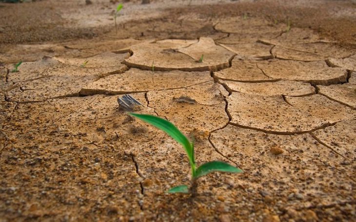 Borrador del plan de adaptación al cambio climático