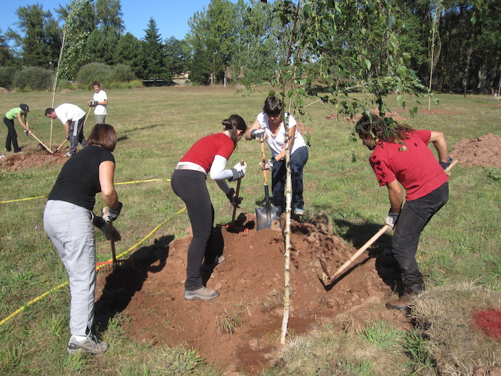 Prevención de inundaciones en el Besaya a través de la plantación de sauces en Pesquera