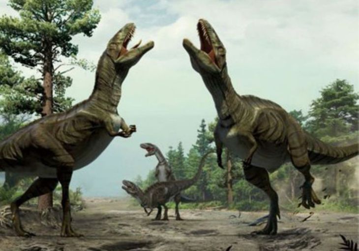 Las diferencia entre dinosaurios machos y hembras es casi imperceptible