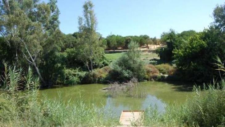 Salvemos el Guadaíra ‘indignados’ con la demolición del antiguo molino de La Zúa