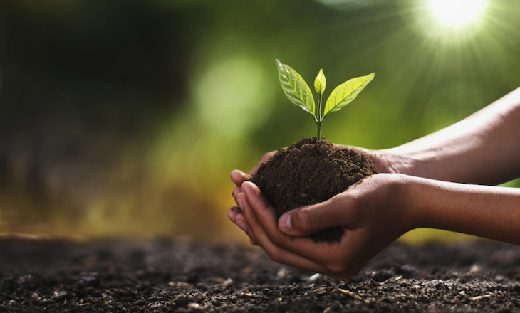 Alianza Europea para una Recuperación Verde