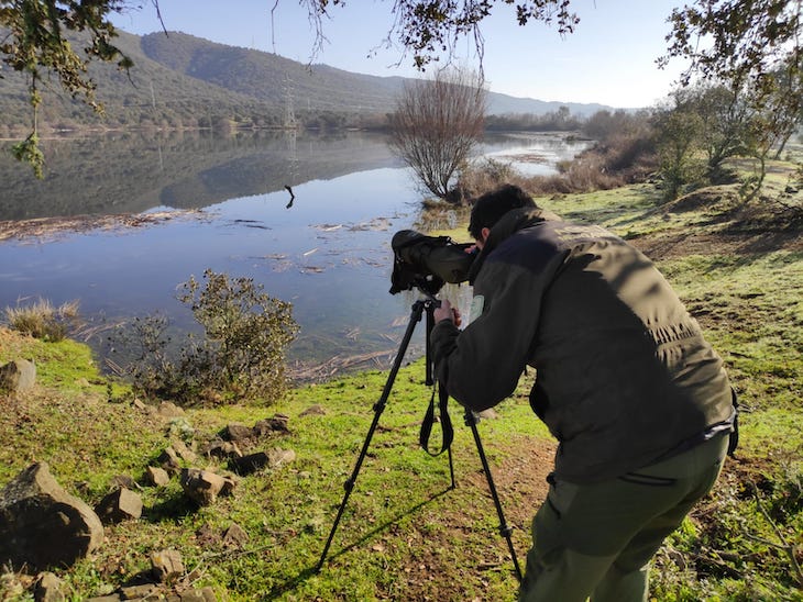 Reconocimiento oficial a los agentes de Medio Ambiente en Córdoba