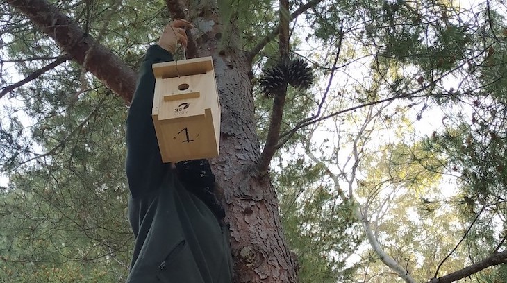 SEO/BirdLife crea un Oasis de Biodiversidad para las aves en Valencia y Huelva