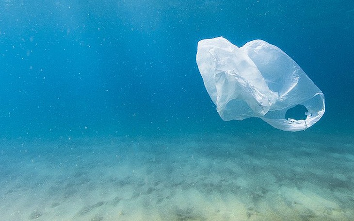 Andalucía se ‘implica’ para combatir las basuras marinas