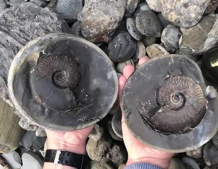 El extraño caso de las ‘bolas en fósiles’