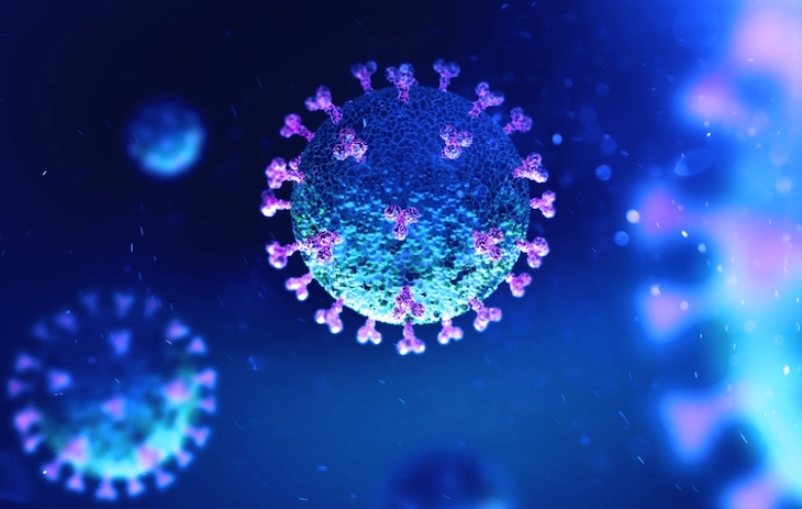 PSOE en quiere una economía de desarrollo sostenible para paliar el COVID-19