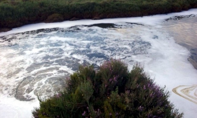Un juzgado de Ayamonte cita a declarar a ocho cargos públicos por un vertido en Isla Cristina