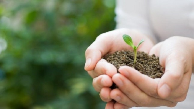 El medio ambiente necesita periodistas