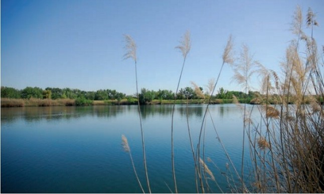 EQUO pide incluir en el Catálogo de Humedales de la Comunidad de Madrid 30 pequeños espacios de gran valor ecológico