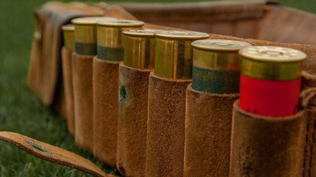 EQUO plantea  la prohibición del plomo en las municiones para la caza