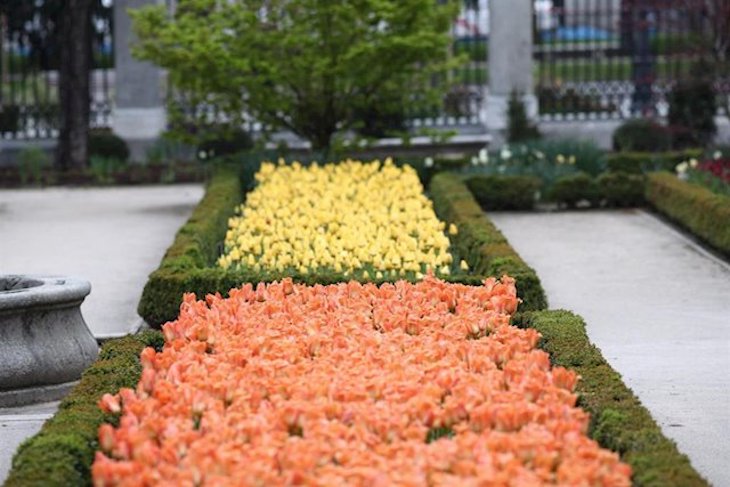 El ‘Real Jardín Botánico’ se puede visitar on-line