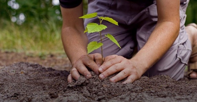 Adelante Andalucía promoverá un plan para frenar los efectos del cambio climático en la provincia de Málaga