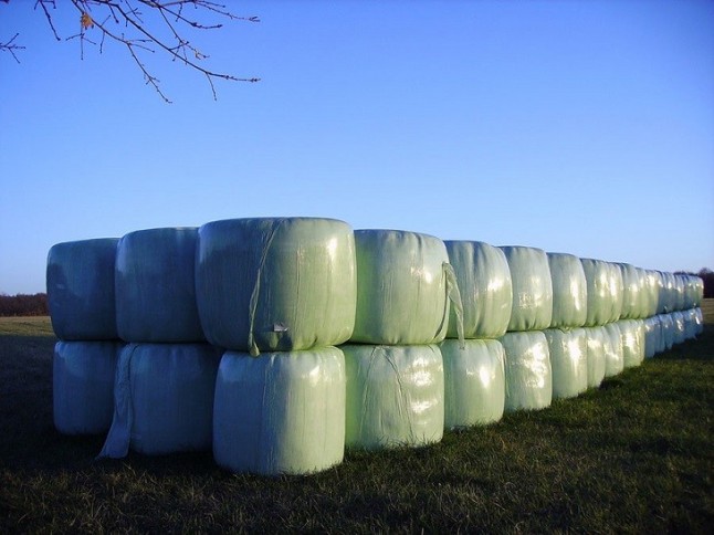 Pendiente el plan de la Xunta para la recogida y el tratamiento del plástico agrícola que genera Galicia