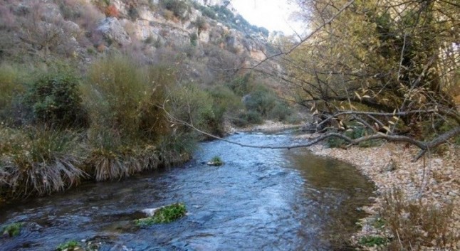 Exigen la declaración urgente de las 24 reservas naturales fluviales de las cuencas andaluzas