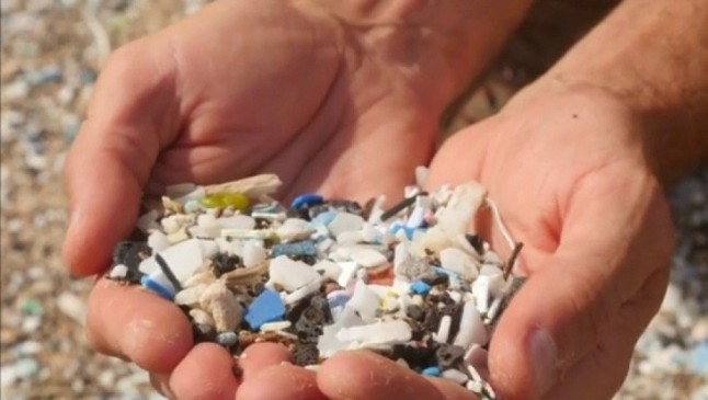 Los microplásticos también se acumulan en la fosa marina más profunda