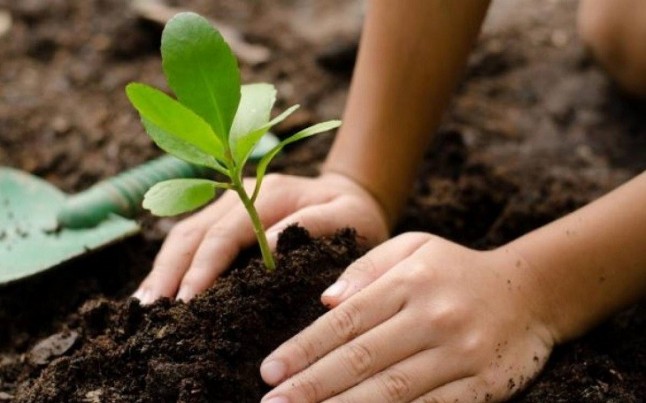 Día Mundial del Suelo