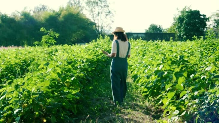 Euskadi. Smart Rural 21