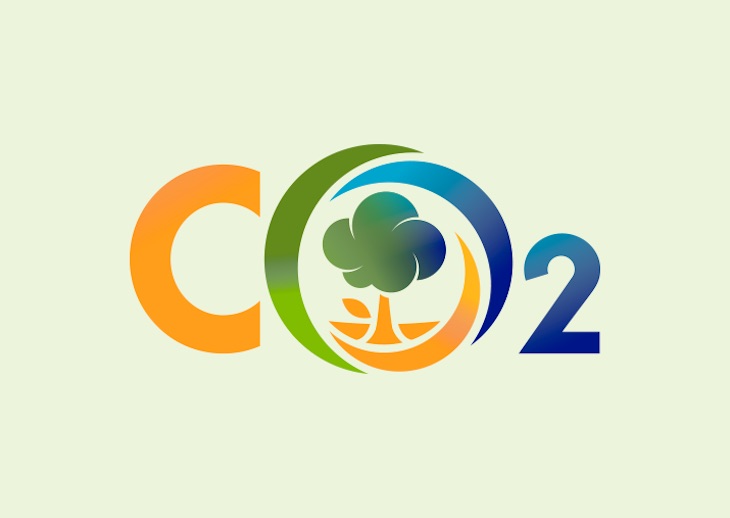 Las empresas murcianas ‘pueden y deben’ involucrarse en el proyecto LIFE Forest CO2