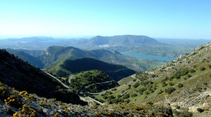 Repoblando la Sierra de Gata