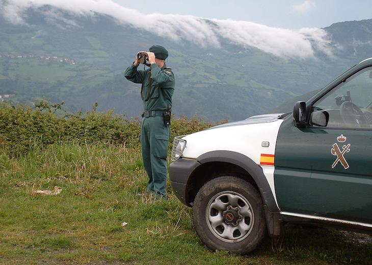 La BENEMERITA interviene en Matute (Segovia) dos capturaderos de animales salvajes