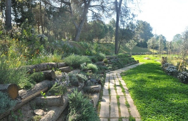 El Camino del bosque del cementerio de Roques Blanques