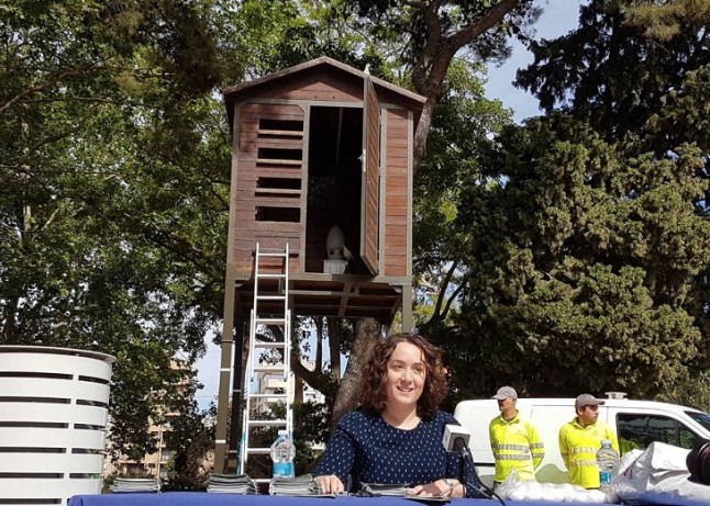 Valencia utilizará piensos esterilizantes para controlar la población de palomas