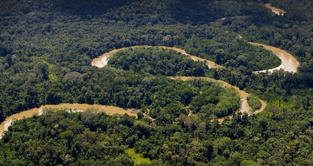 La Amazonia puede mutar de sumidero a emisor de carbono por las sequías