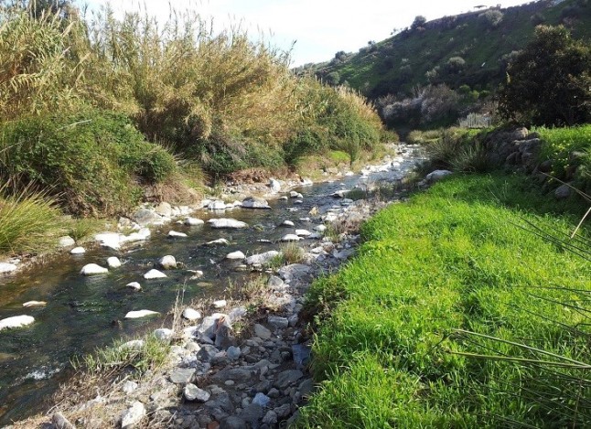 Voluntarios ambientales abordan en Córdoba y Jaén la conservación de los ecosistemas fluviales de Andalucía
