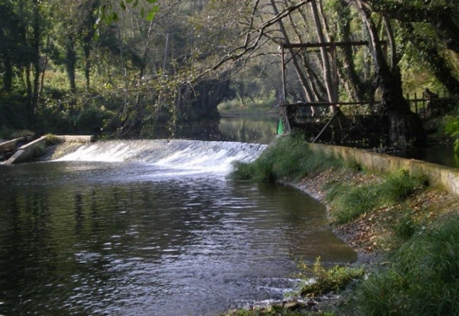 Asturias. Polémica a cuenta de la Piscifactoría de Abres