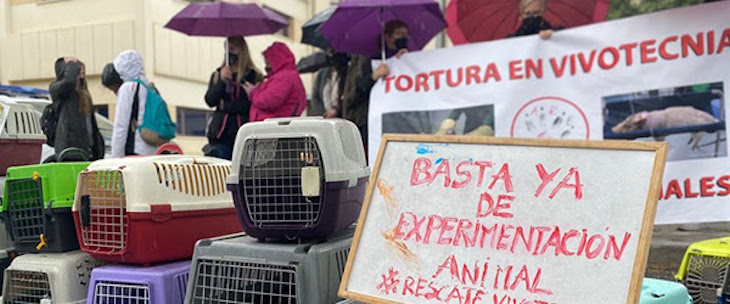 FAADA y  AnimaNaturalis una ‘excelente alianza para llevar ‘Vivotecnia’ ante la Justicia