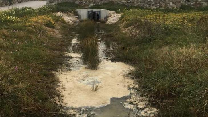 Nuevo vertido de aguas fecales en la playa de Los Lances