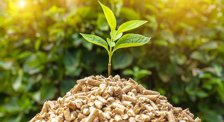 Elecnor construirá una planta de cogeneración de biomasa en Bélgica por 86 millones