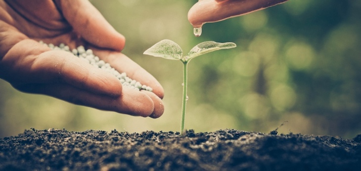 El Ayuntamiento de Jerez se pone de ‘perfil’ y dice que no conoce la política ambiental europea