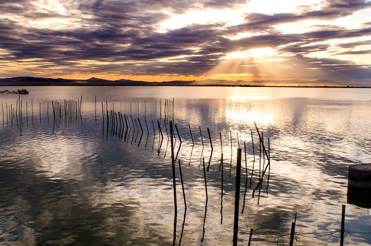 La Albufera valenciana ‘es el mejor proyecto verde’