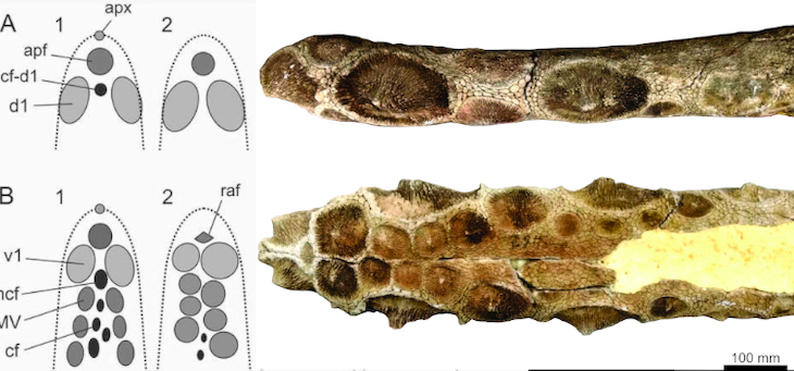 En la localidad de las flores