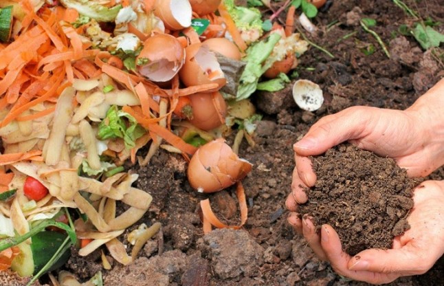 El 90% del abono obtenido en el programa pontés #CompostDaCasa