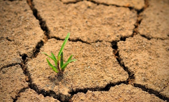 El imprescindible compromiso local en la lucha contra el cambio climático