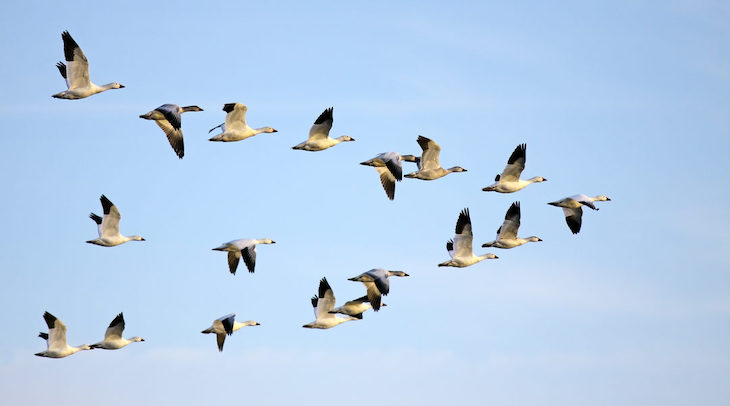 La 13ª reunión de la Conferencia de las Partes (CoP13)