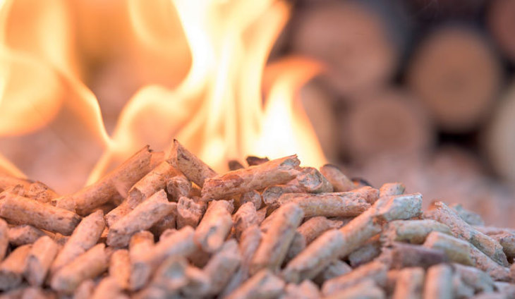 La Patronal de la biomasa ve en el RD sobre energías renovables un paso muy positivo para lograr los objetivos en 2050