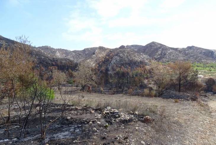 Comunidad Valenciana: campaña Stop al foc