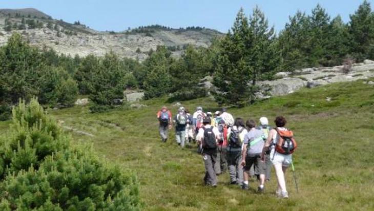 Las ONG ambientales minimizan sus actividades por la ‘pandemia’