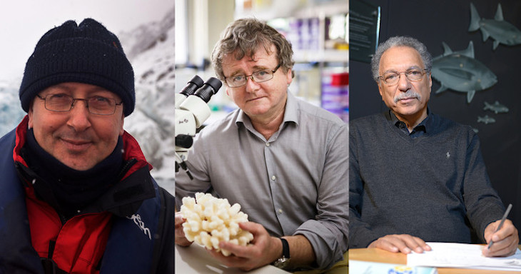 Tres ecólogos galardonados por sus conocimientos sobre los océanos