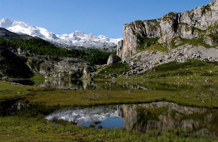 Parques Nacionales explican online a los Reyes de España el impacto del COVID-19 en la naturaleza