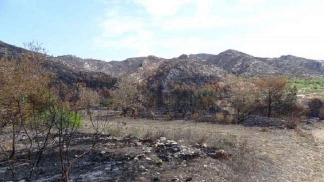 Fondos para la restauración del área afectada por el fuego de Llutxent (Valencia)